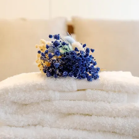 Discovery Luxury Historic House At Rua Flores * Porto