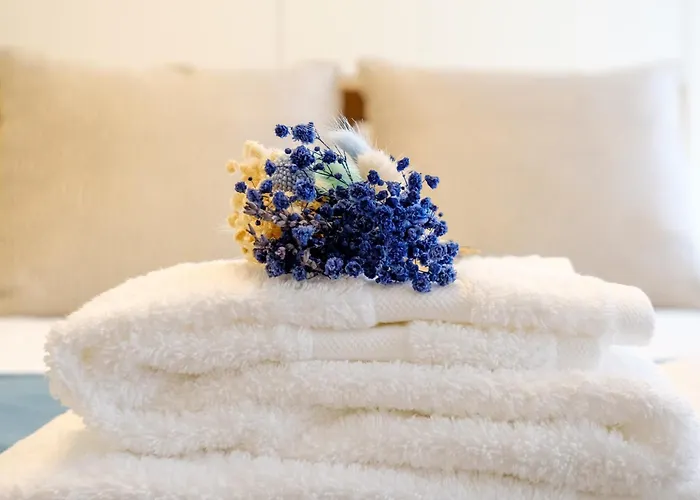 Discovery Luxury Historic House At Rua Flores * Porto